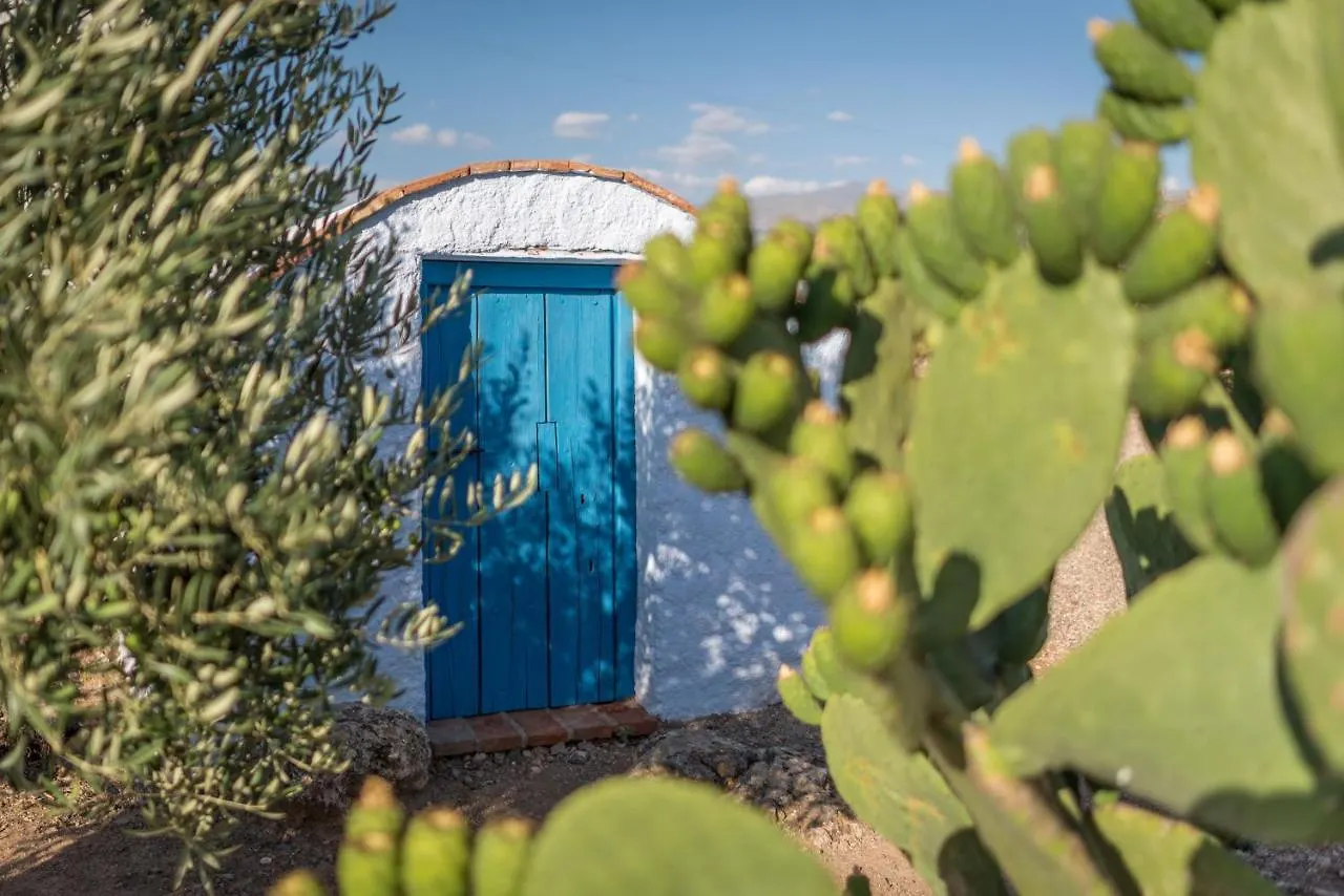 Al Agia - Mirador De Los Quinientos Padul Chalet